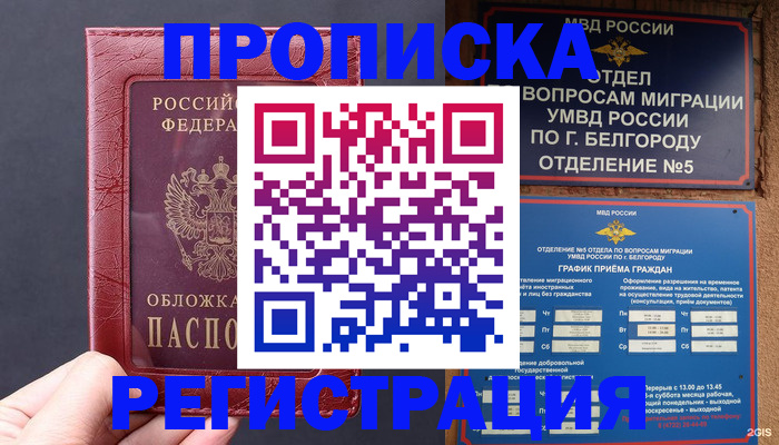 прописка в квартире в Сальске